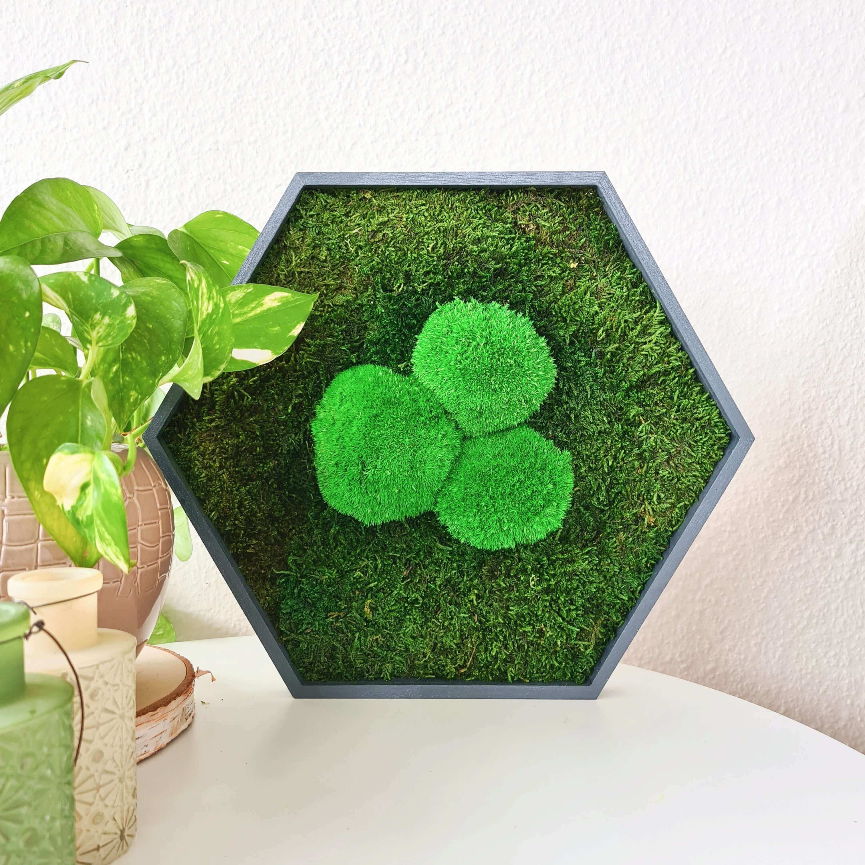 Moosbild Hexagon "klassisch" im Set 3teilig