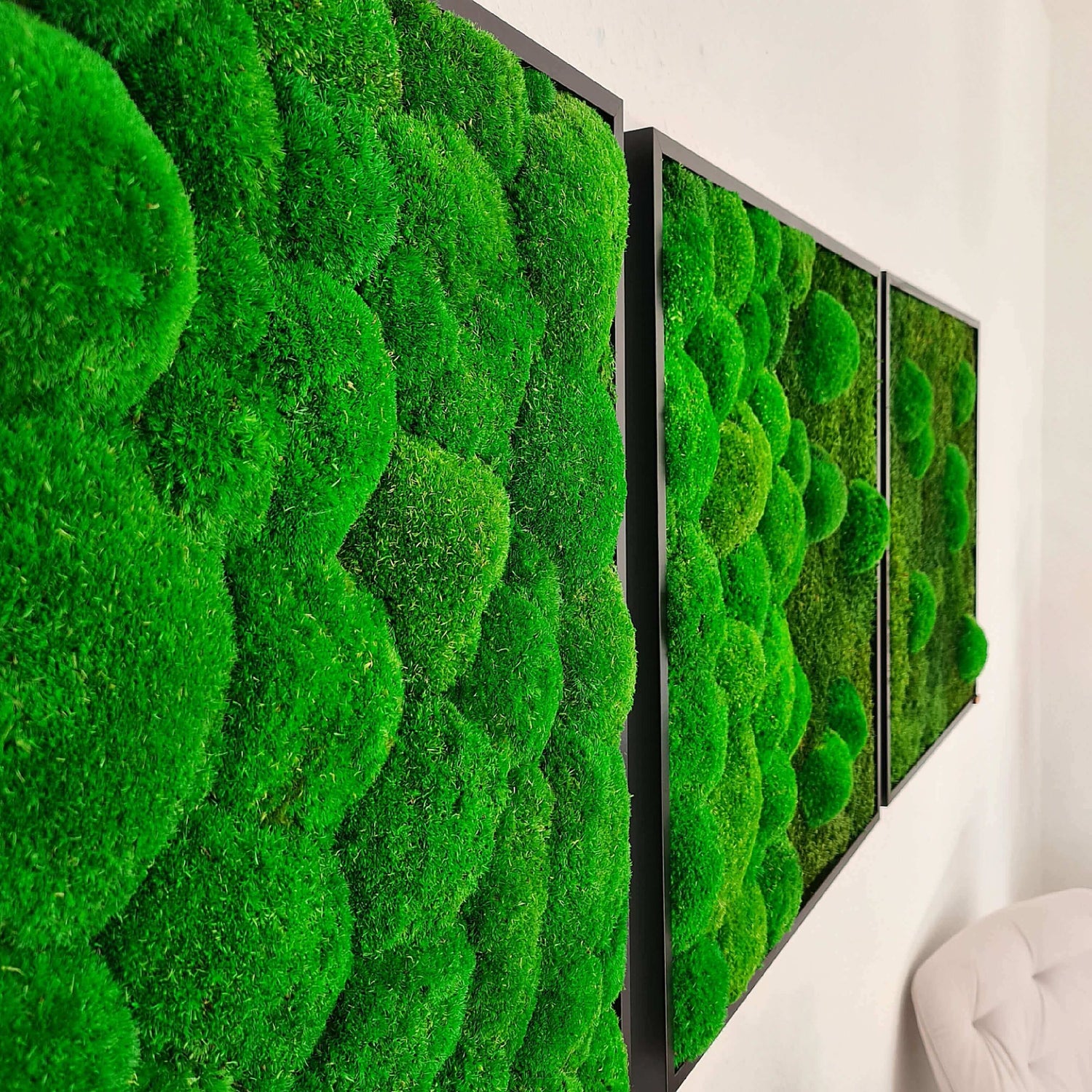 Moosbild 3er-Set, Wald- und Kugelmoos im Verlauf, im Vollholzrahmen