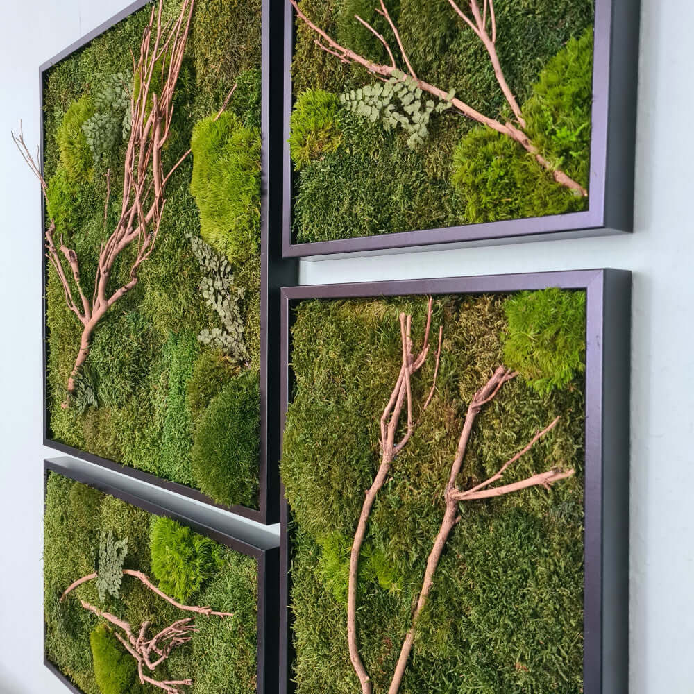 Moosbild Set, Moosbilder mit Holz