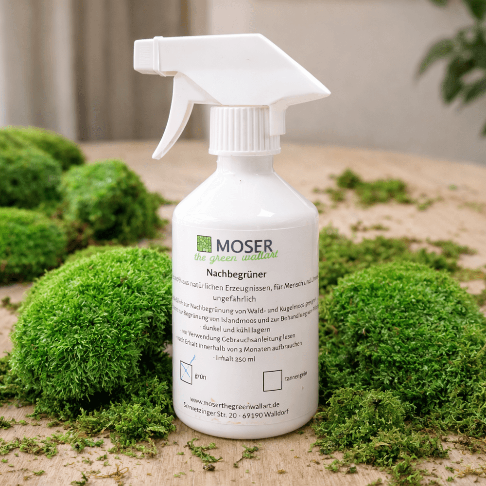 Moosbild-Nachbegrüner