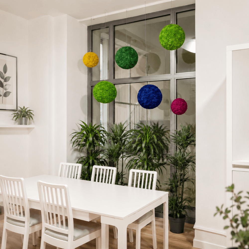 Moosball mit Islandmoos in verschiedenen Farben