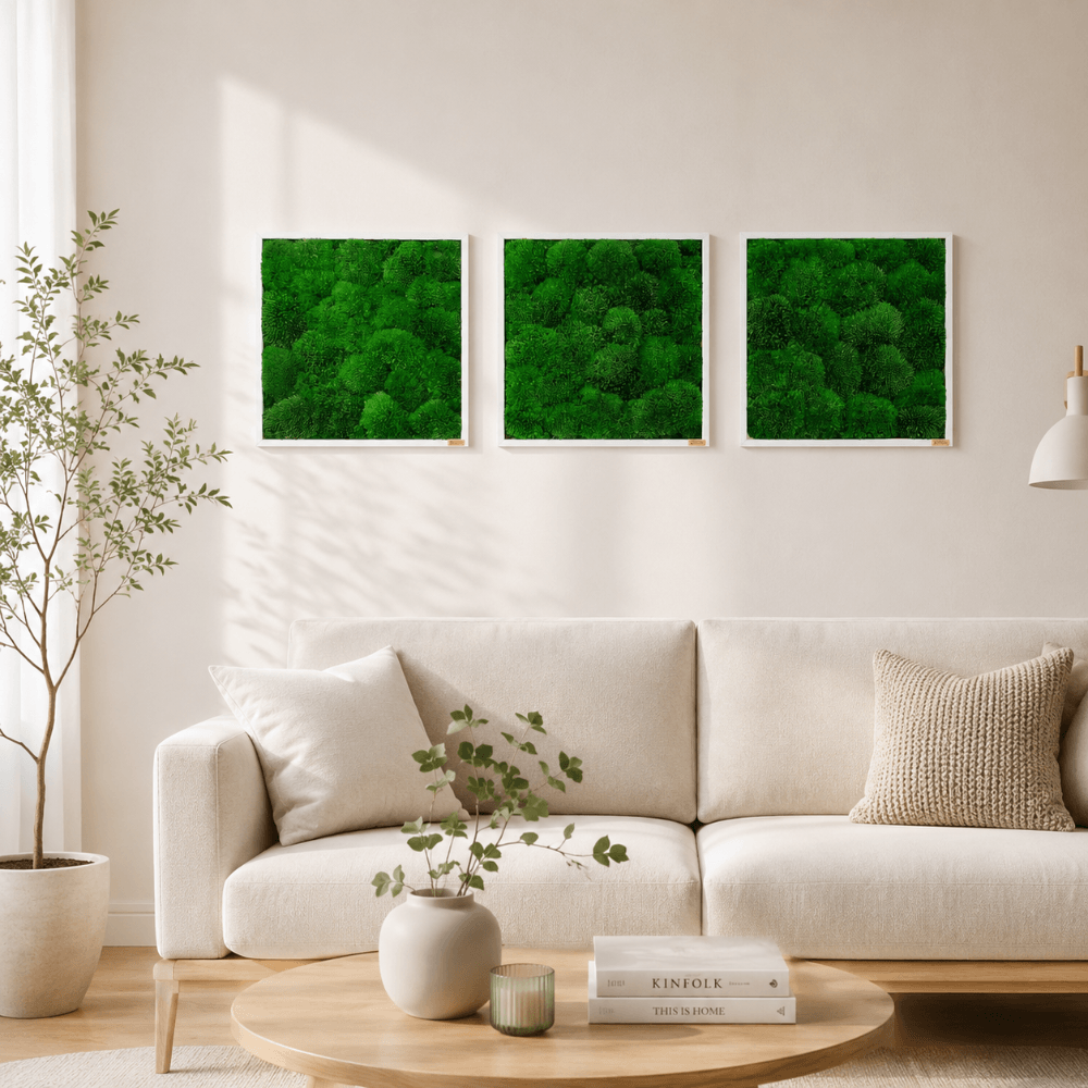 Moosbild 3er Set mit Kugelmoos