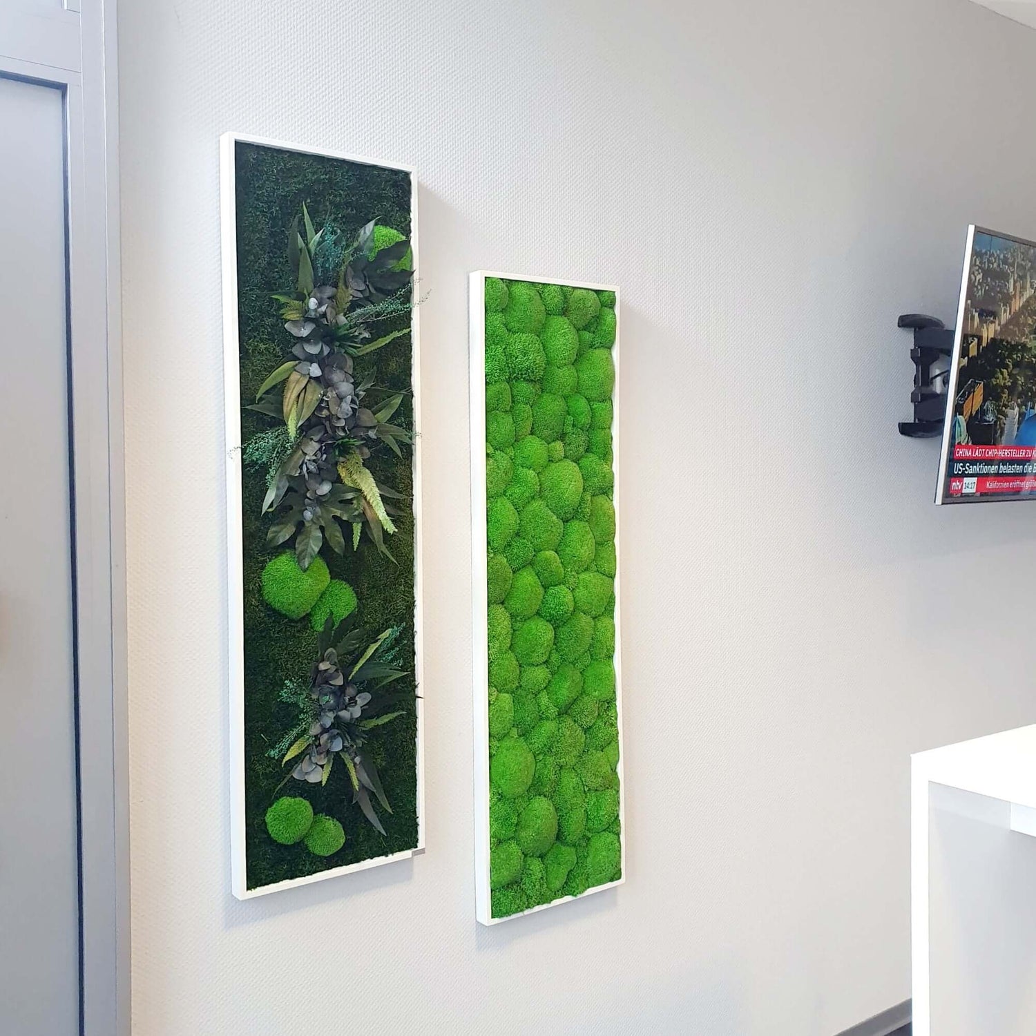 Pflanzenbild im Vollholzrahmen