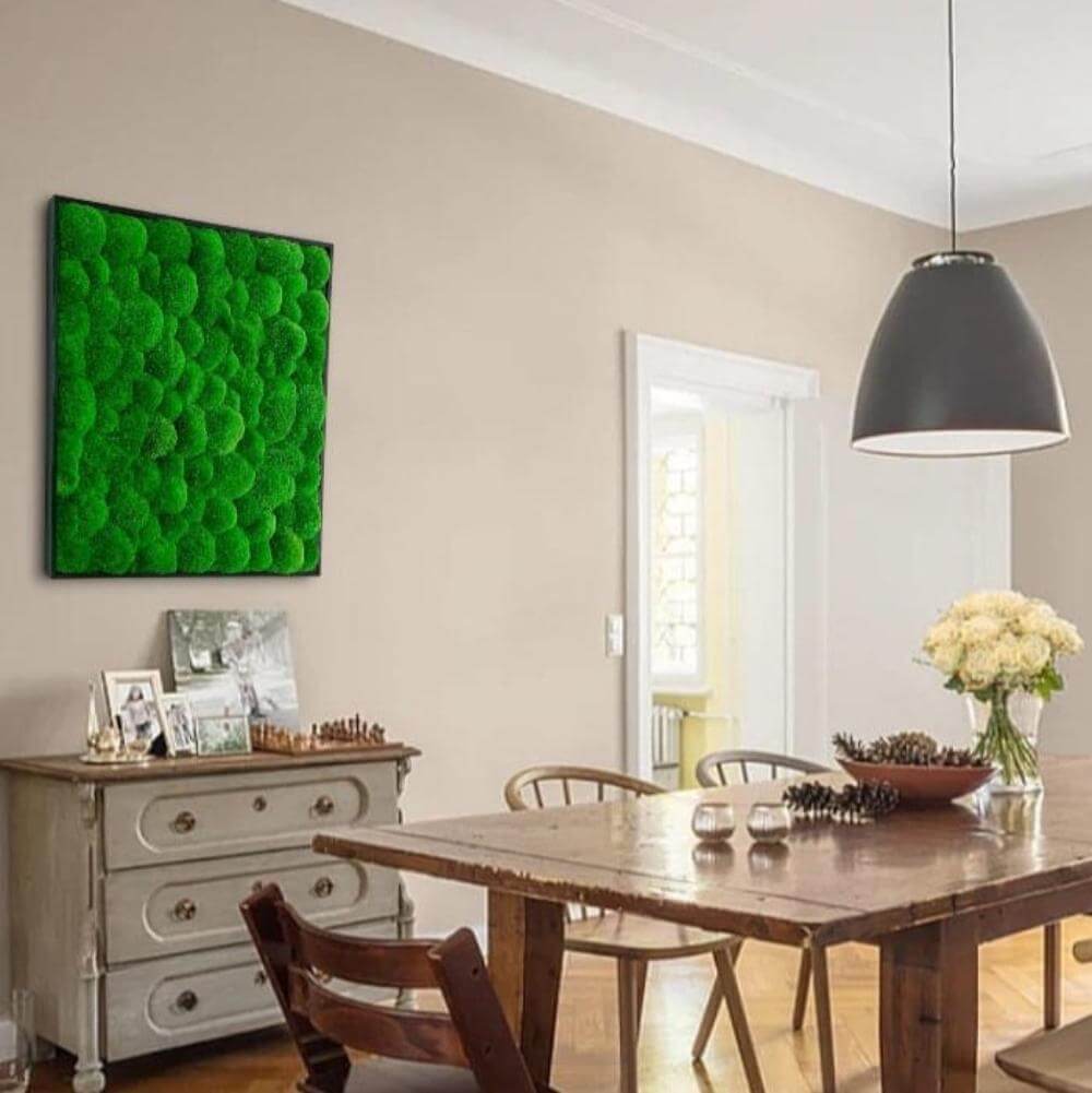 Moosbild mit Kugelmoos