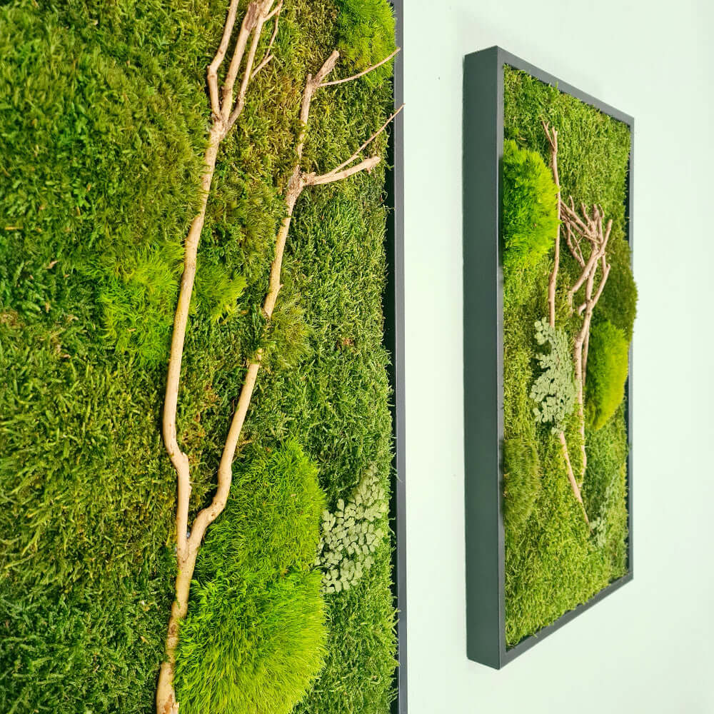 Moosbild mit Holz, Moosbild im Vollholzrahmen