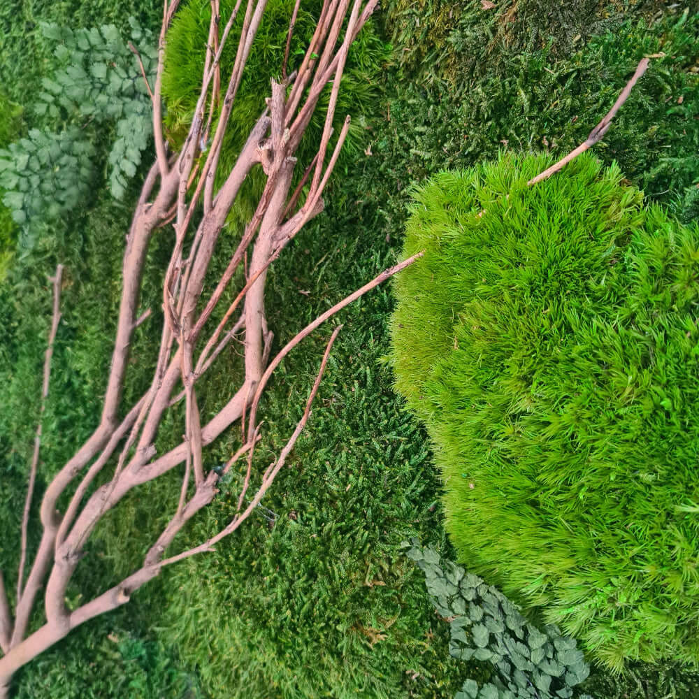 Moosbild mit Holz, Moosbild im Vollholzrahmen