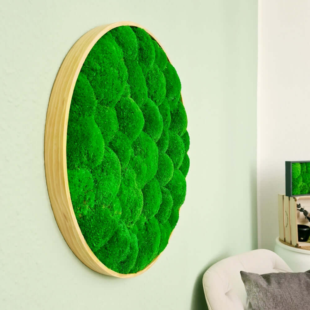 Moosbild rund, Moosbild mit Kugelmoos