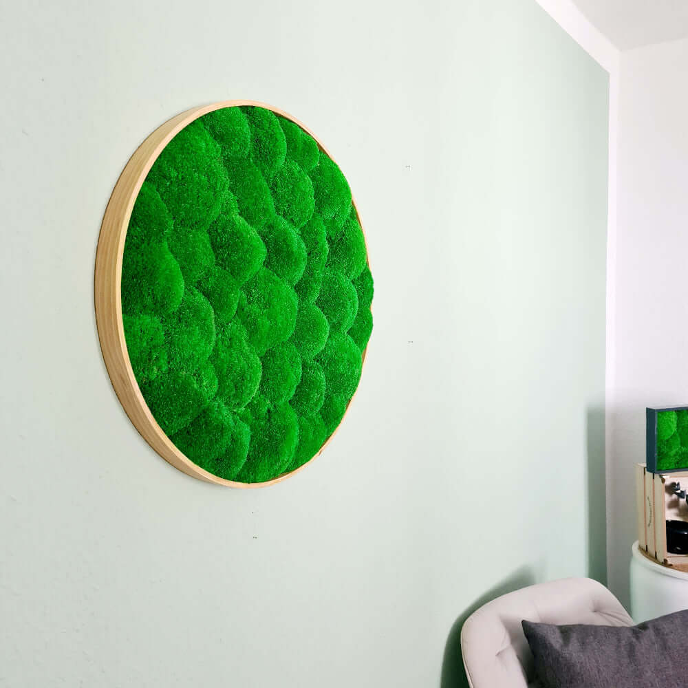 Moosbild rund, Moosbild mit Kugelmoos