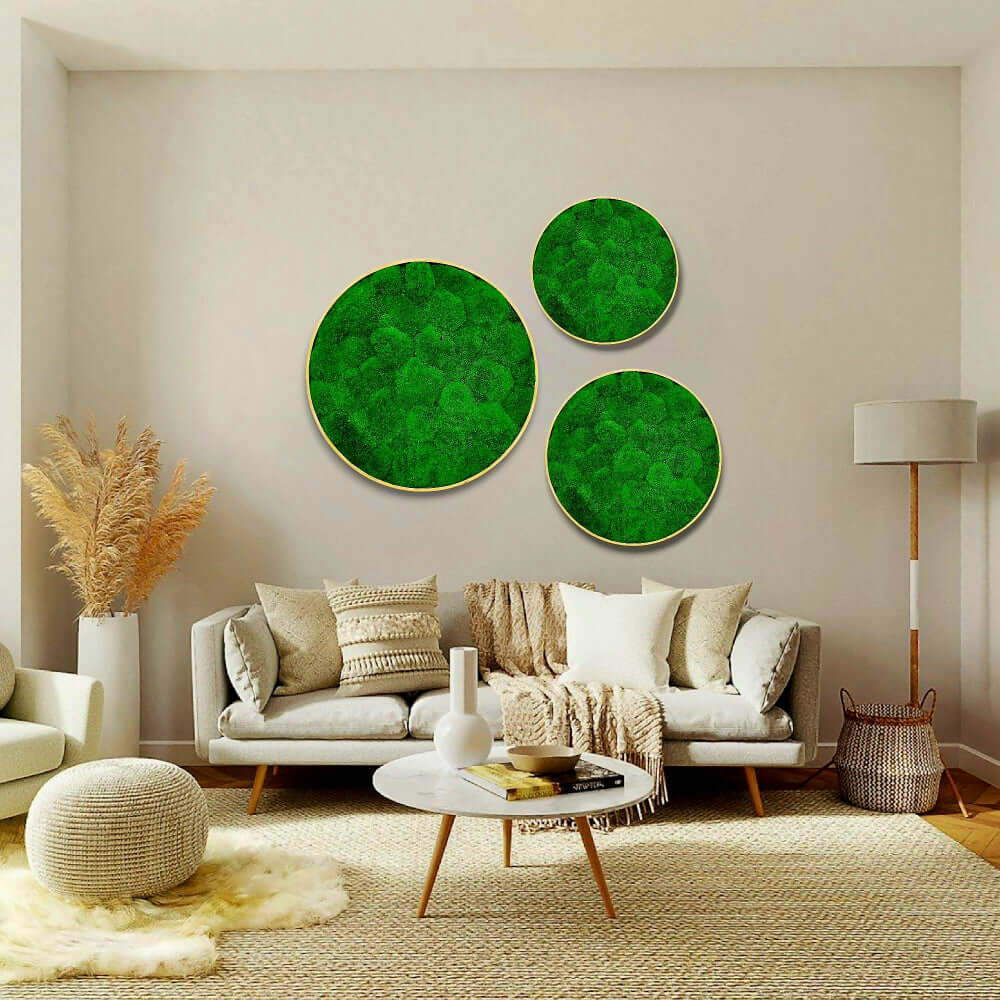 Moosbild rund, Moosbild mit Kugelmoos