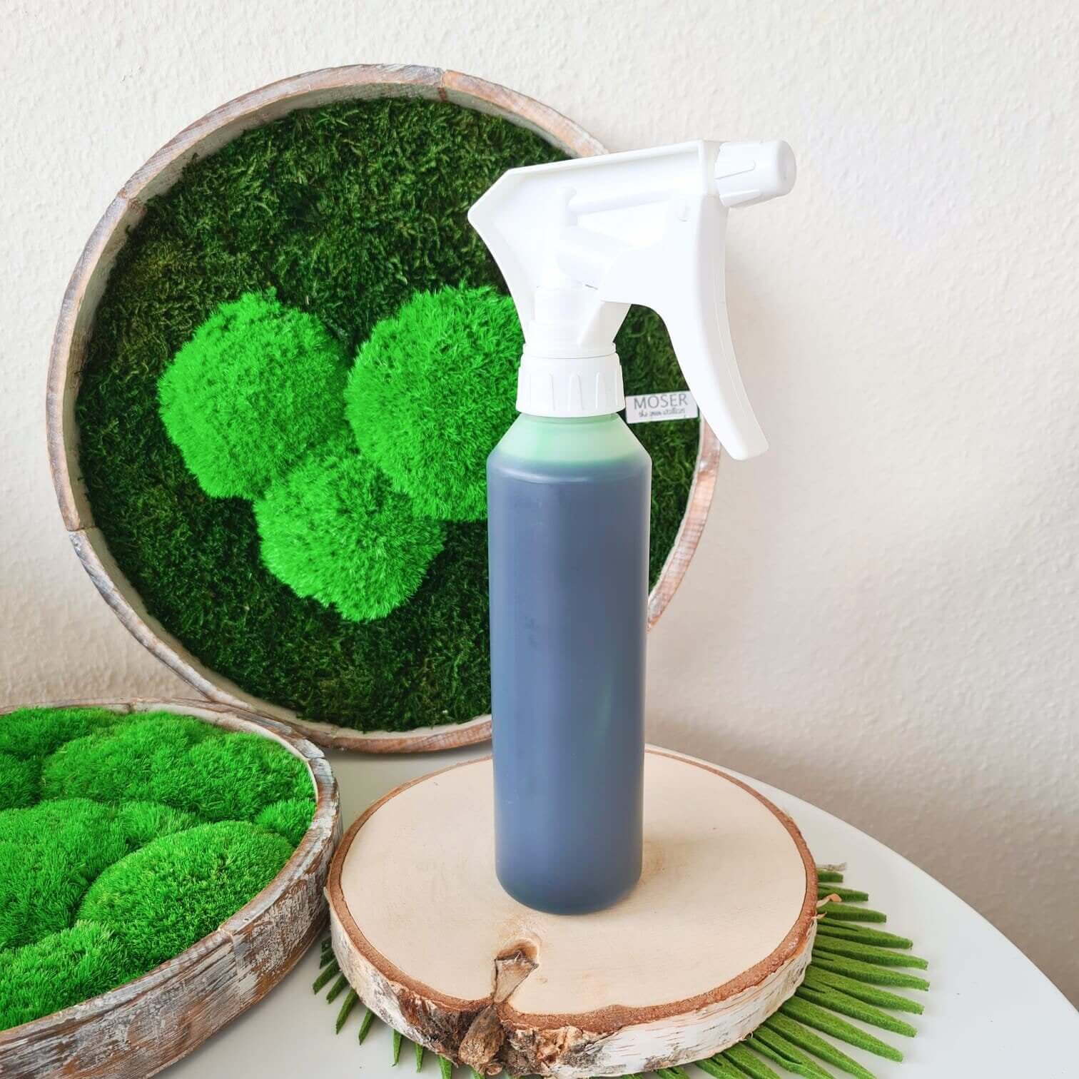 Moosbild-Nachbegrüner