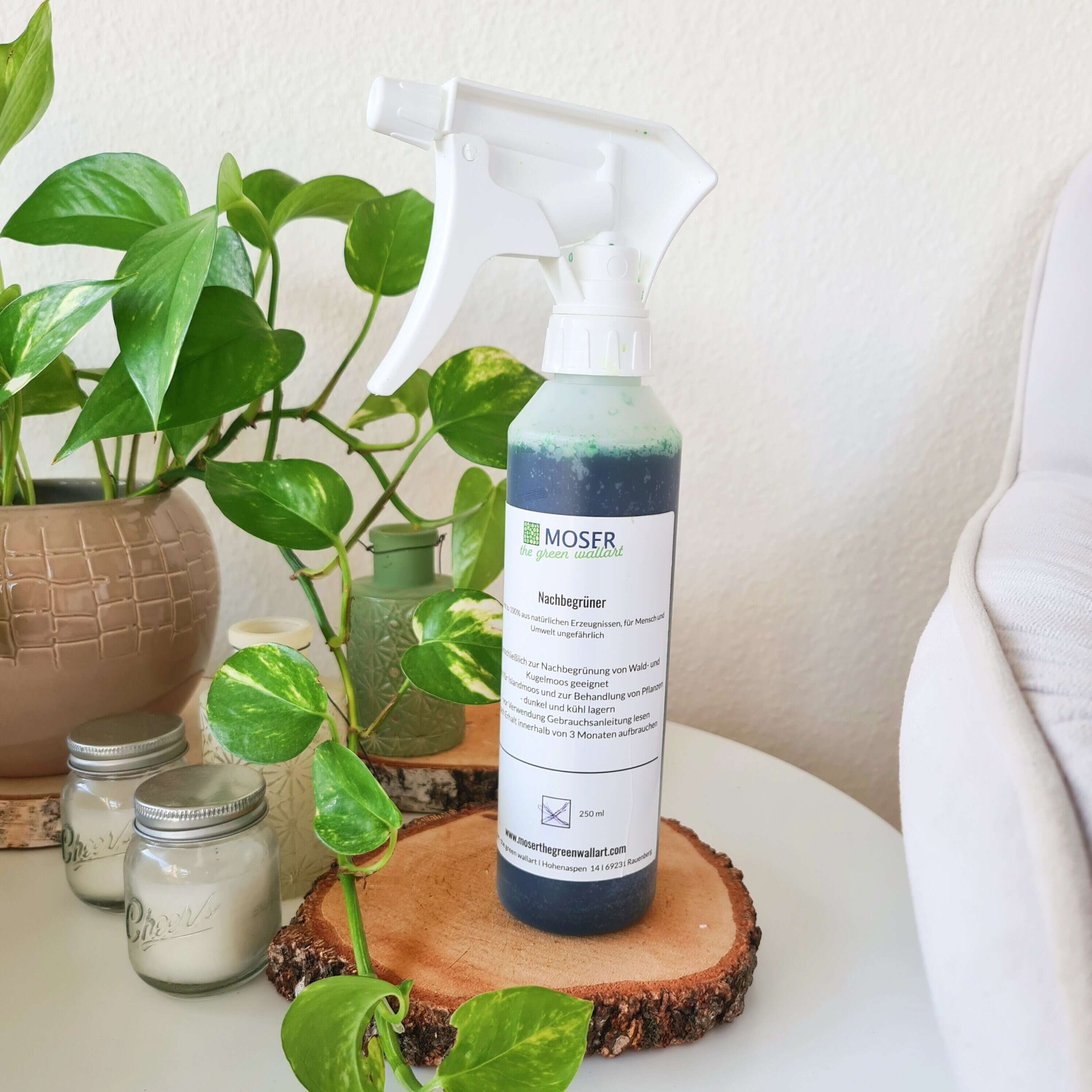 Moosbild-Nachbegrüner