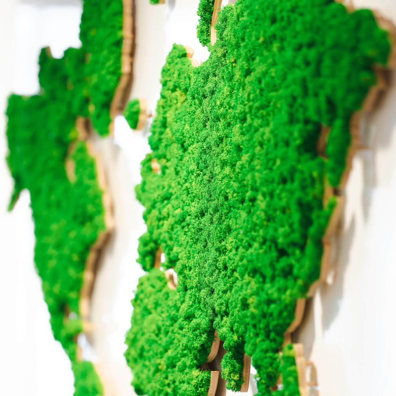 Weltkarte mit Islandmoos