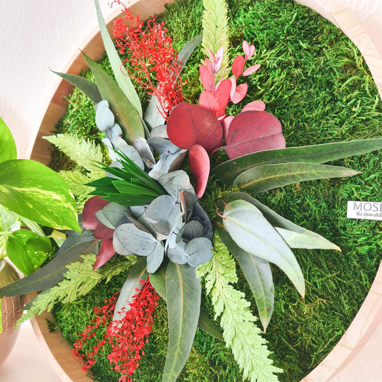 Moosbild-Set 2-teilig mit Pflanzen im runden Holzrahmen