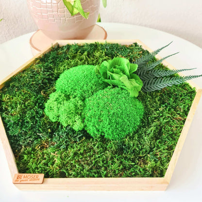Moosbild Hexagon &quot;Hortensie&quot; im Set 3teilig