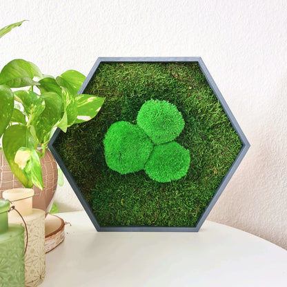 Moosbild Hexagon &quot;klassisch&quot; im Set 3teilig