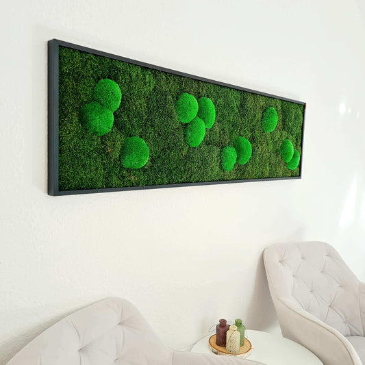 MOOS Raumteiler & Akustikpaneelen - Grüne Raumgestaltung