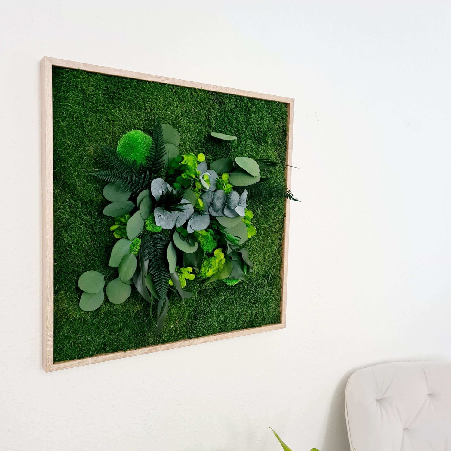 Moss picture, plant picture in solid wood frame