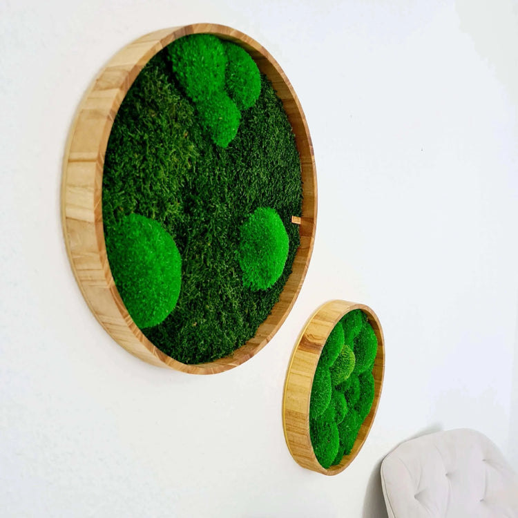 Moss picture set pole moss round in a set of 2 parts, wooden frame