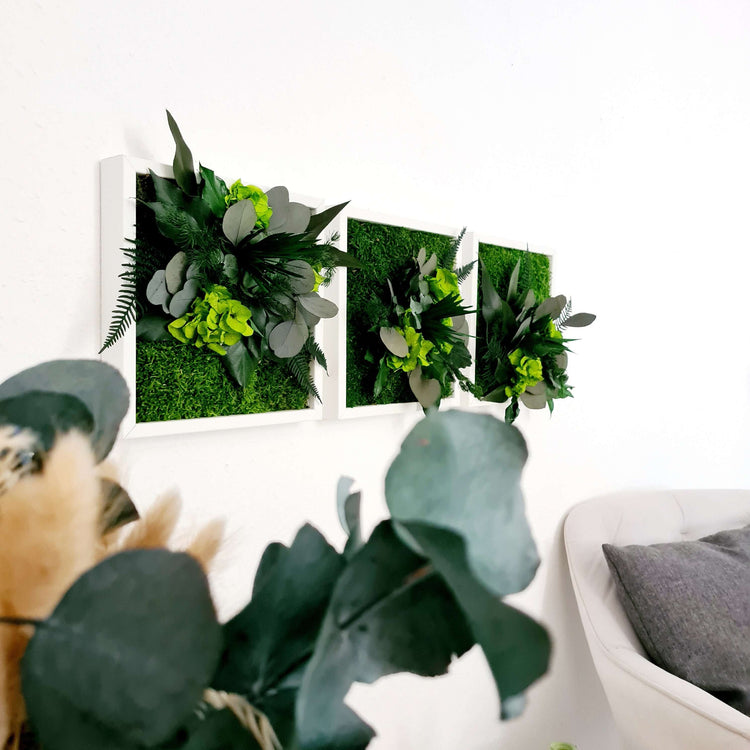 Moosbild-Set 3-teilig mit Pflanzen im Vollholzrahmen