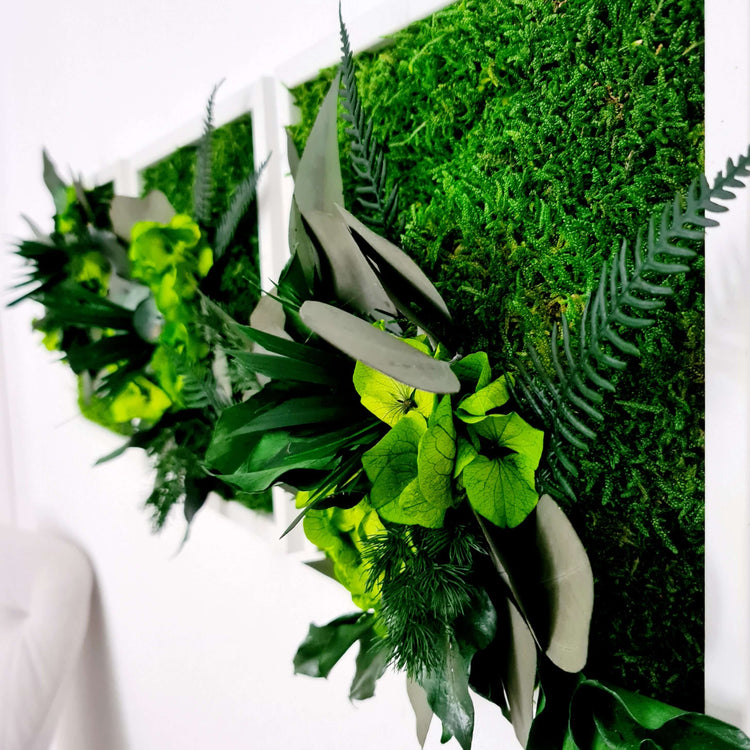 Moosbild-Set 3-teilig mit Pflanzen im Vollholzrahmen
