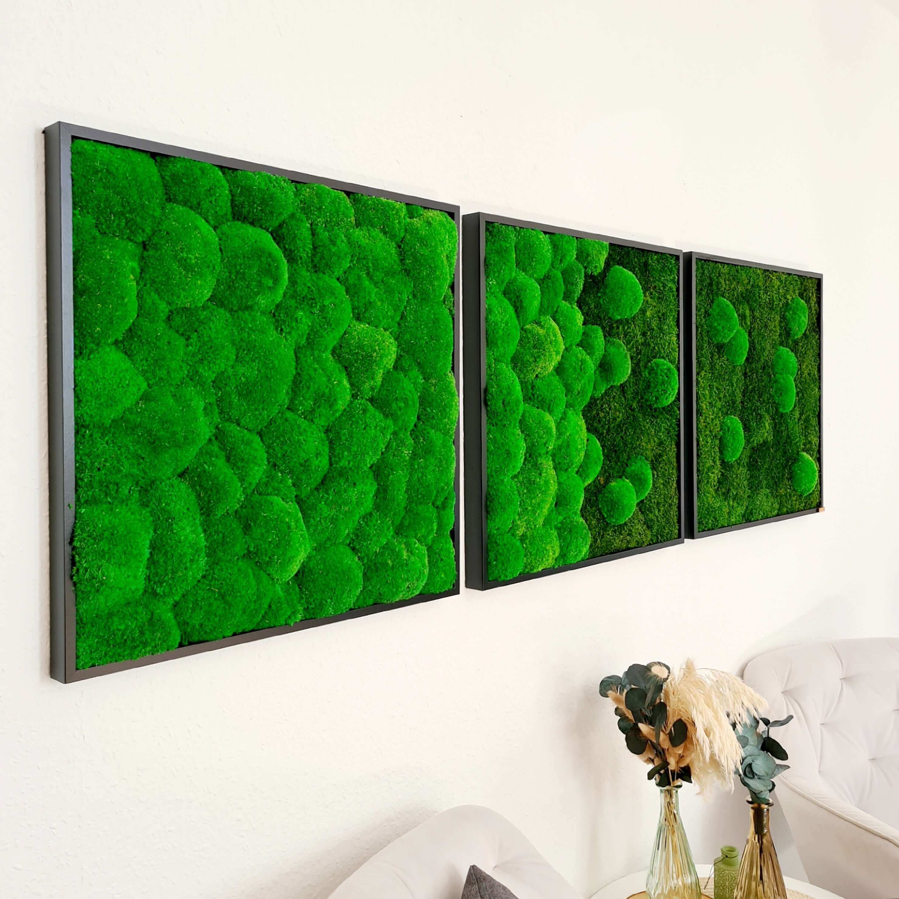 Bilder 3er Set, vertikaler Garten, Moosbild 3er Set in der Größe 55x55 cm im folierten Vollholzrahmen in verschiedenen Rahmenfarben, §er Set Moosbilder von Moser - the green wallart