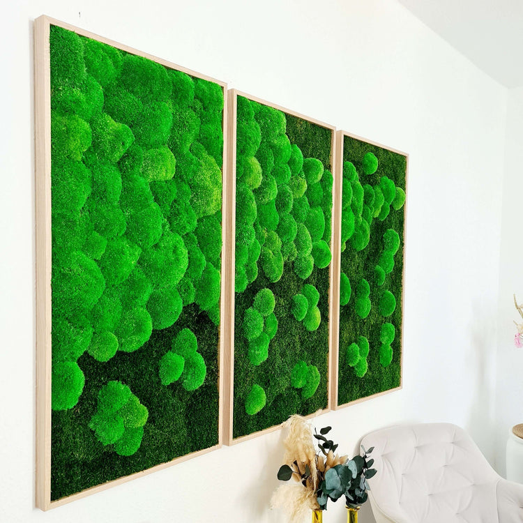 Bilder 3er set mit Moos seitliche Aufnahme von rechts mit viel Kugelmoos zu weniger werdend mit mehr Waldmoos, Mooser the green wallart Moosbild Set