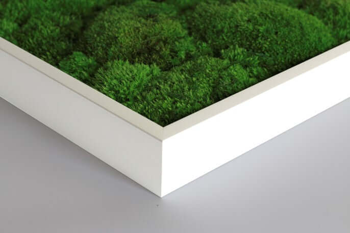 Moss picture gradient, solid wood frame