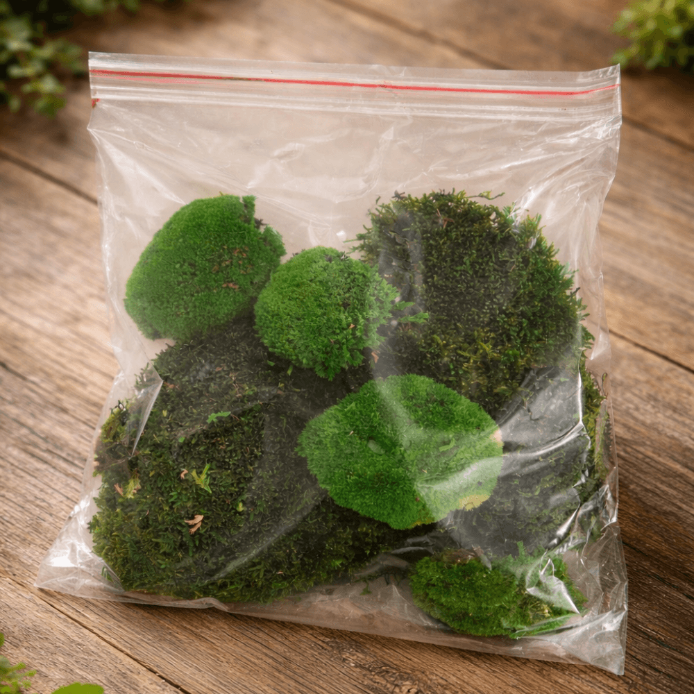 Bastelmoos für DIY Projekte in einer transparenten Tüte auf Holzuntergrund.