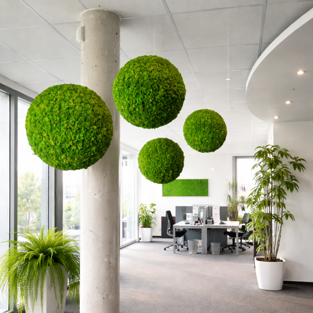 "Iceland Moss" Moss Ball, "Hydrangea" Moss Ball