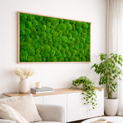 Moosbild mit Kugelmoos