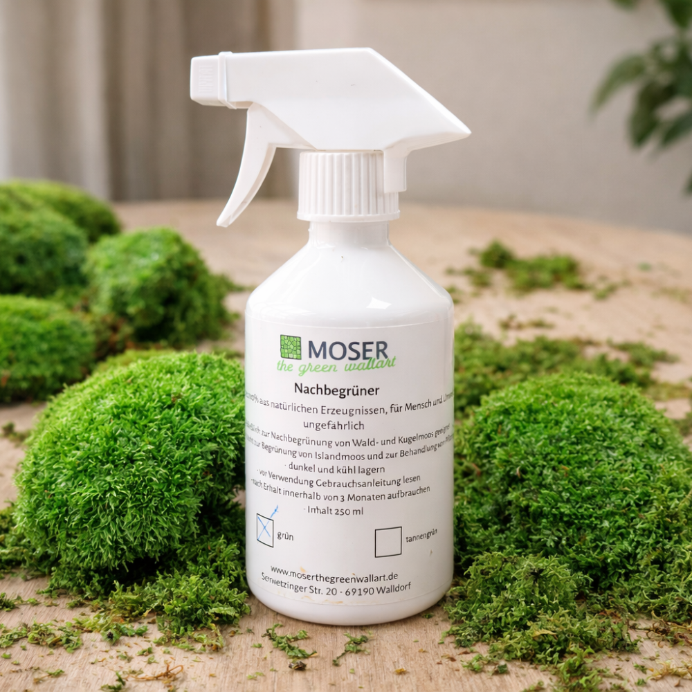 Moosbild-Nachbegrüner