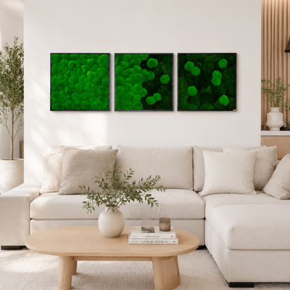 Moss picture set 3 pcs. Forest and pole moss in a solid wood frame