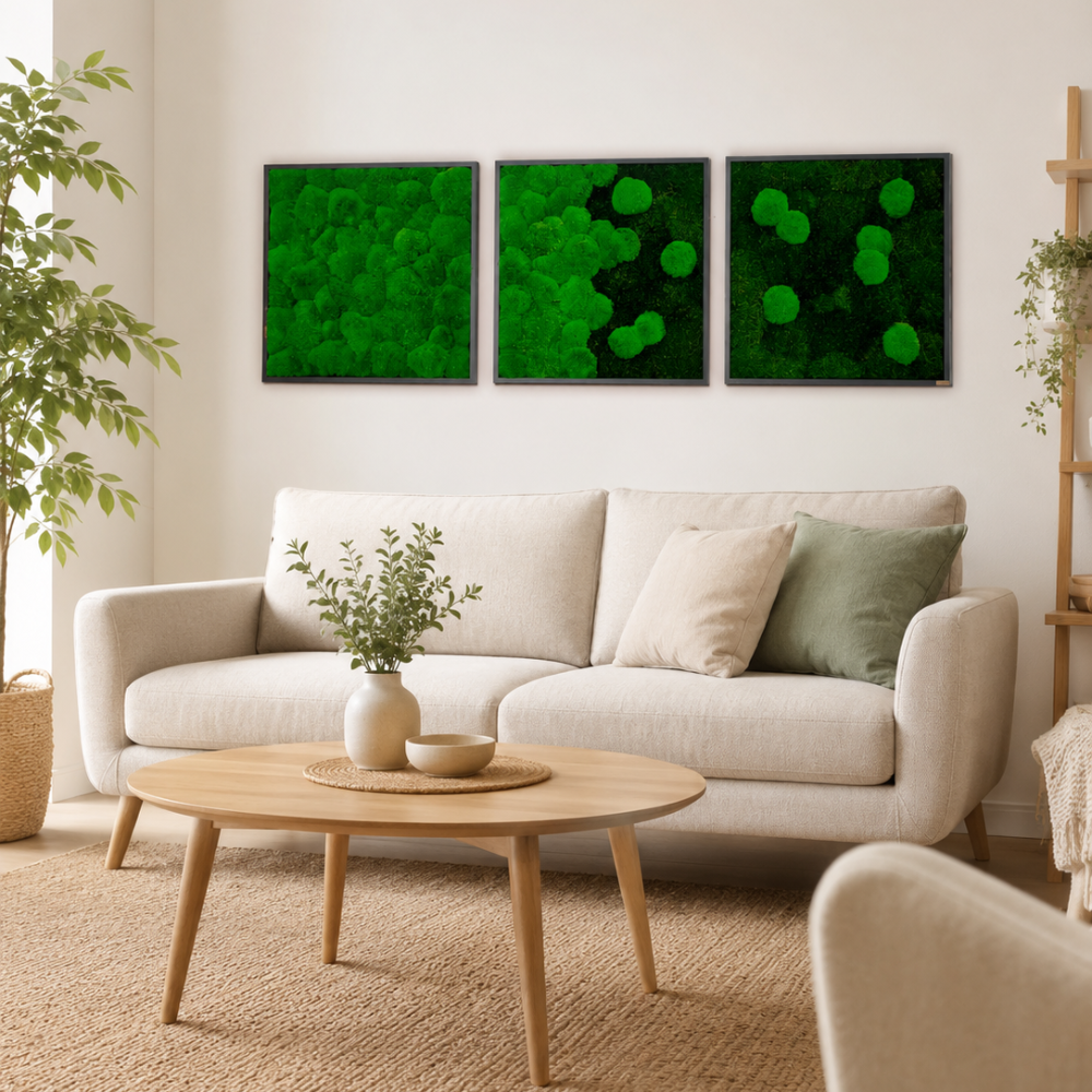 Moss picture set 3 pcs. Forest and pole moss in a solid wood frame