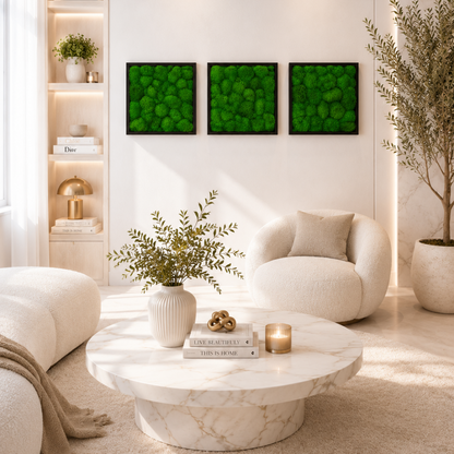 Moosbild 3er Set mit Kugelmoos