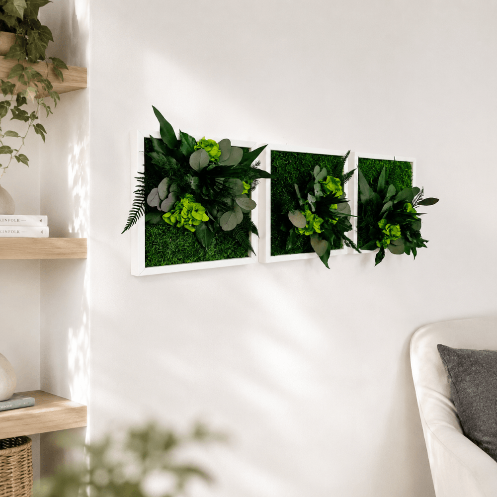 Pflanzenbilder 3er Set 23x23 cm