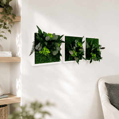 Pflanzenbilder 3er Set 23x23 cm