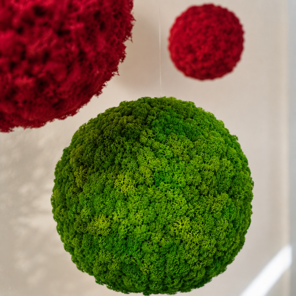 Moosball mit Islandmoos in verschiedenen Farben