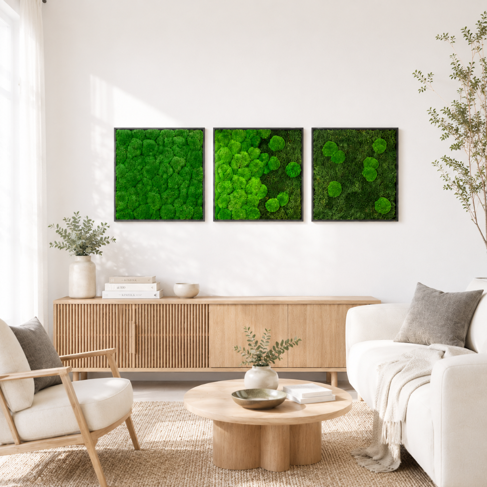Moss picture set 3 pcs. Forest and pole moss in a solid wood frame