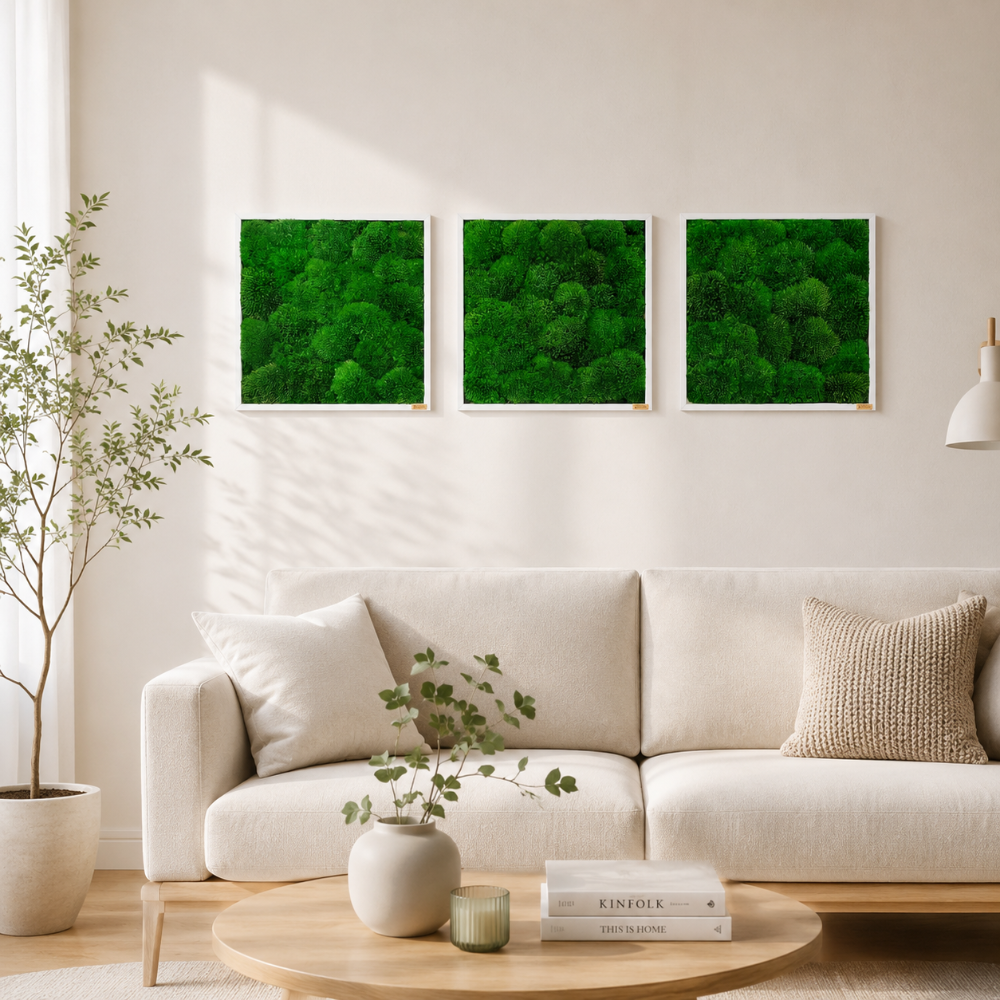 Moosbild 3er Set mit Kugelmoos