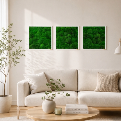 Moosbild 3er Set mit Kugelmoos