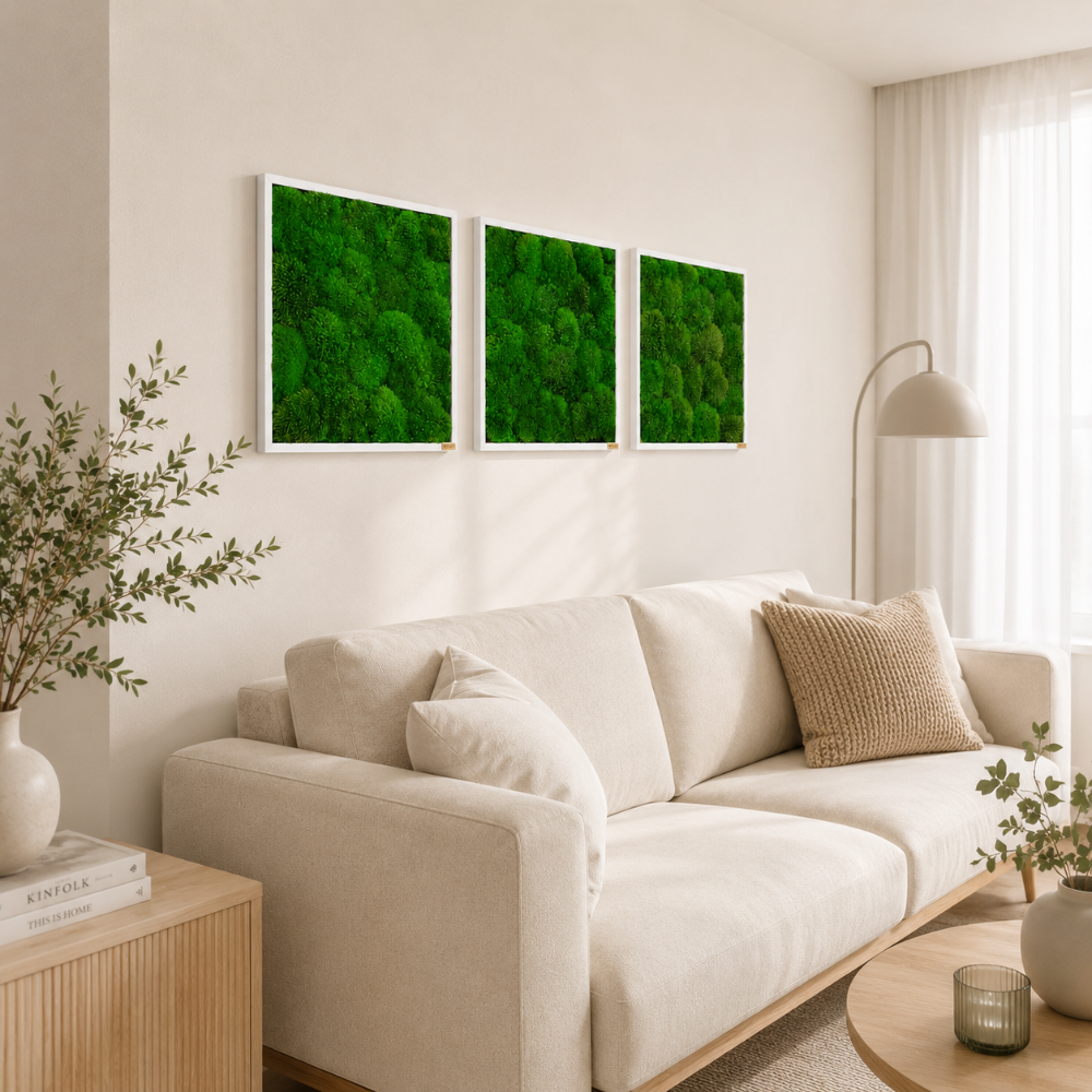 Moosbild 3er Set mit Kugelmoos