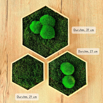 Moosbild Hexagon &quot;klassisch&quot; im Set 3teilig