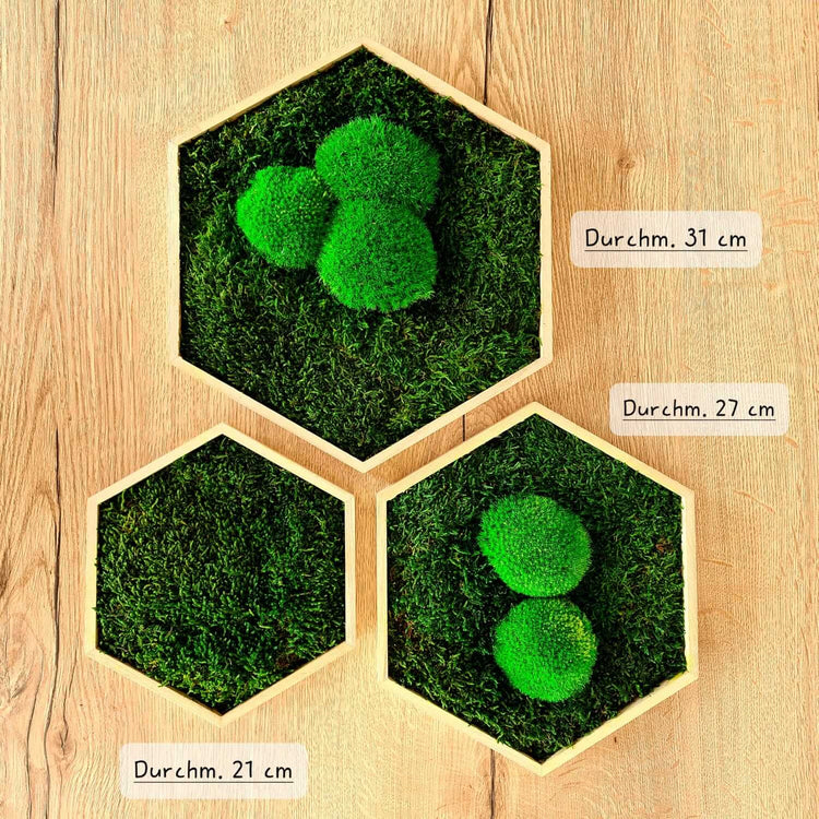 Moosbild Hexagon "klassisch" im Set 3teilig