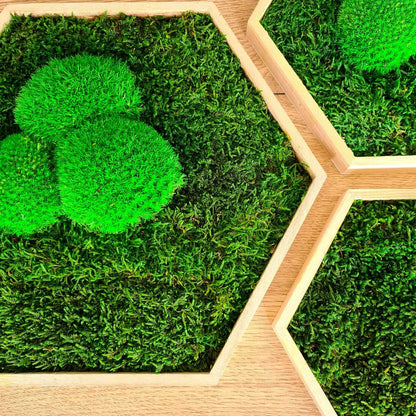 Moosbild Hexagon &quot;klassisch&quot; im Set 3teilig