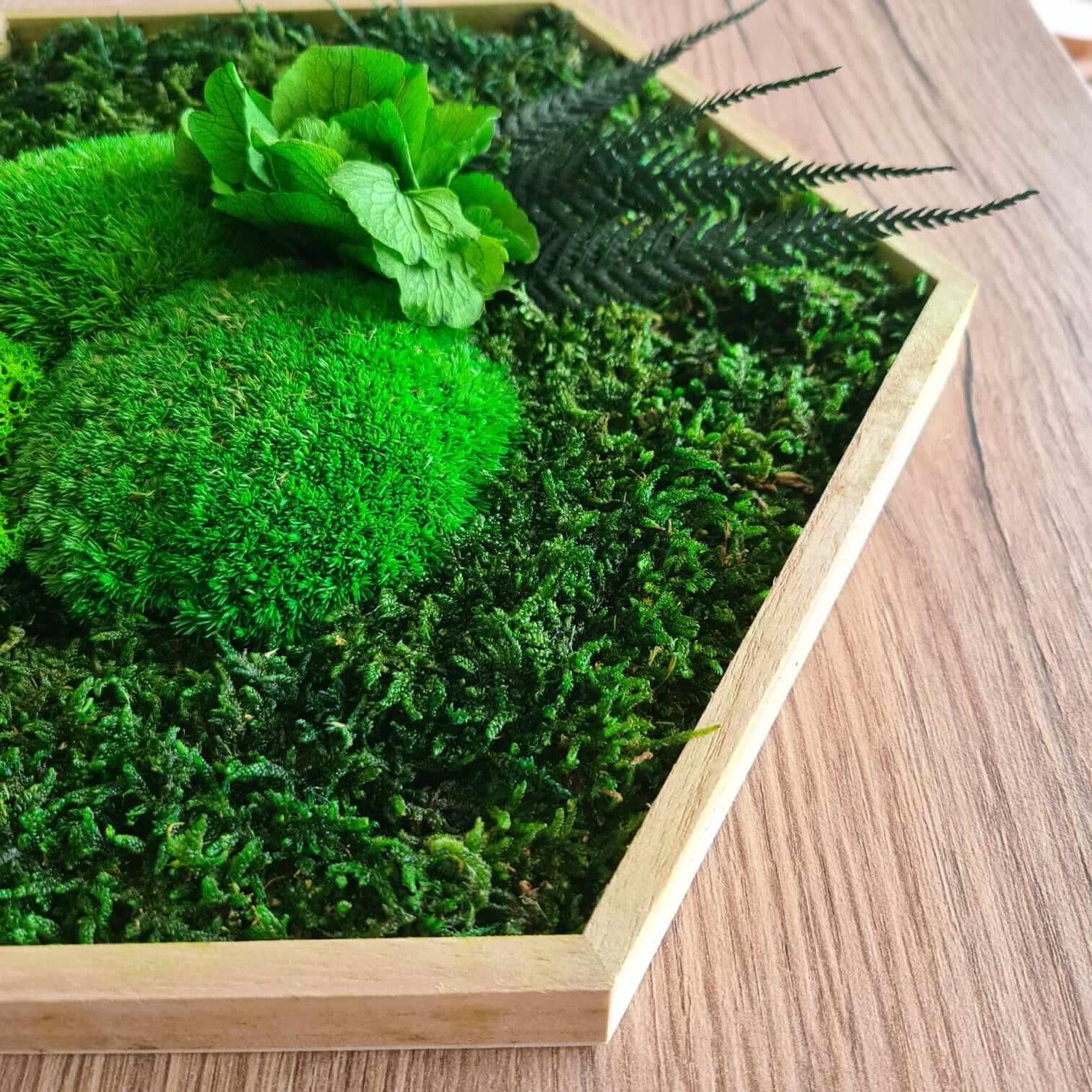 Moosbild Hexagon &quot;Hortensie&quot; im Set 3teilig