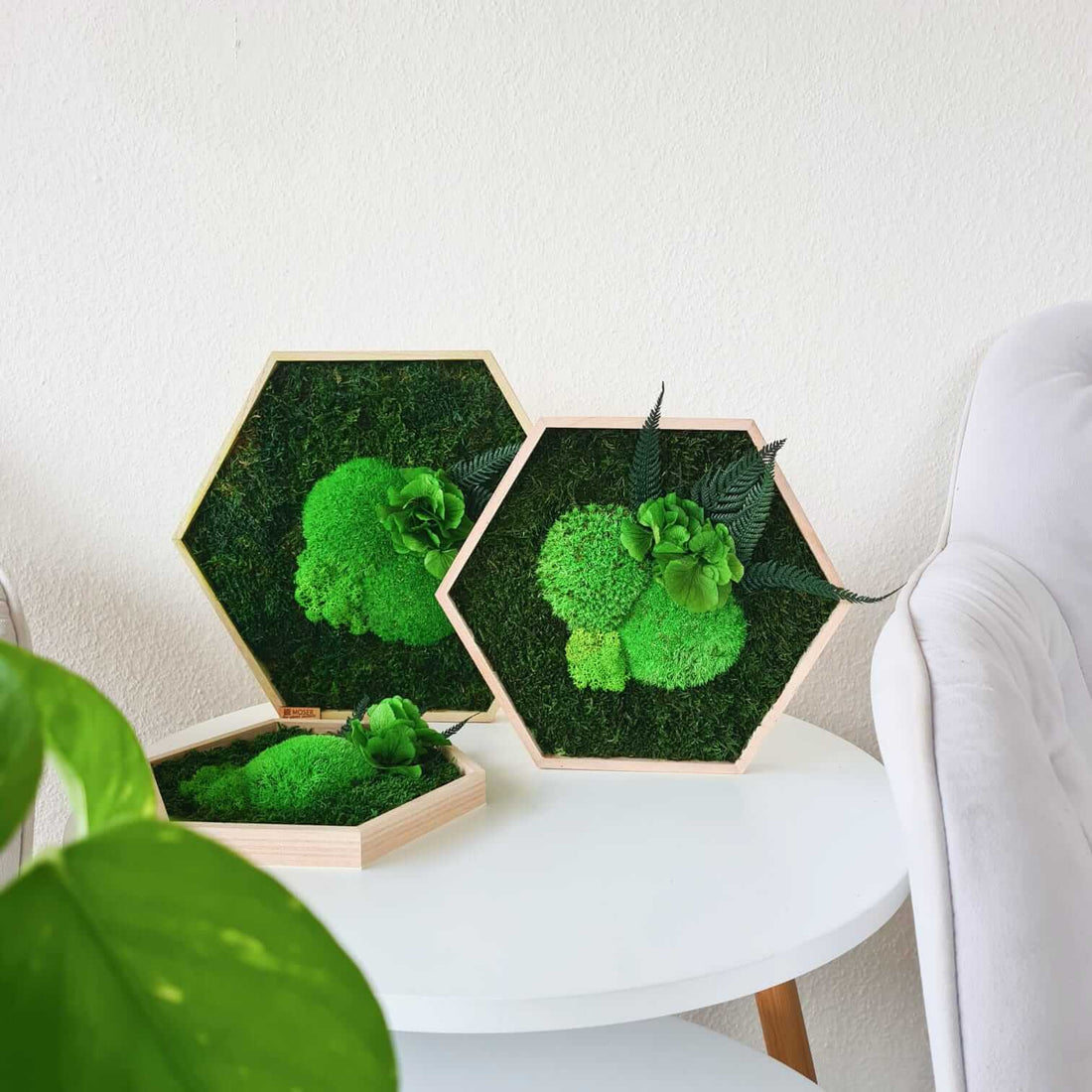 Moosbild Hexagon, sechseckiges Moosbild mit Hortensien