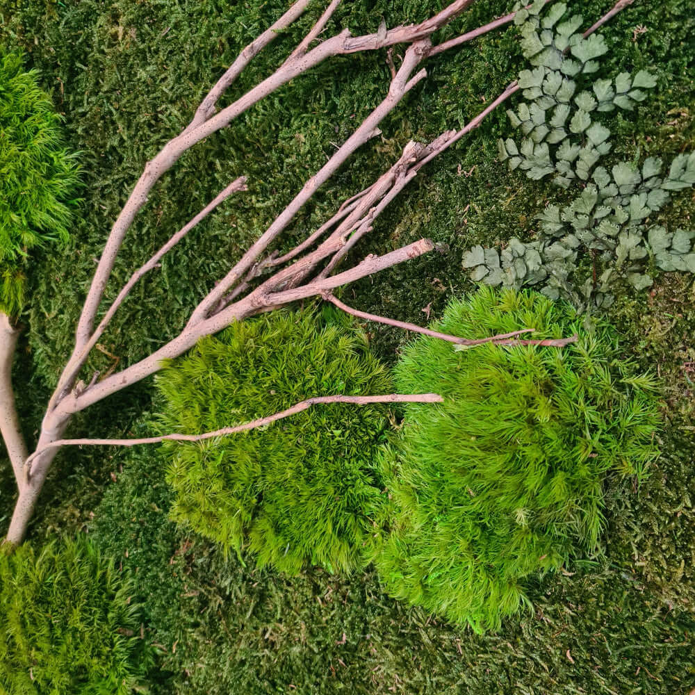 Moosbild rund, Moosbild mit Holz