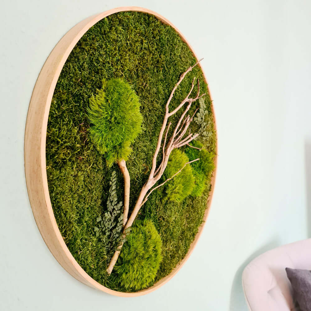 rundes Moosbild in hochwertigem Holzrahmen im Durchmesser 50 cm mit flachen, dunkelgrünem Waldmoos, hellgrünen Kugelmoos und Schwemmholz, Moosbild zur Innenraumdekoation gedacht, biophiles Wandbild zur Schallreduktion