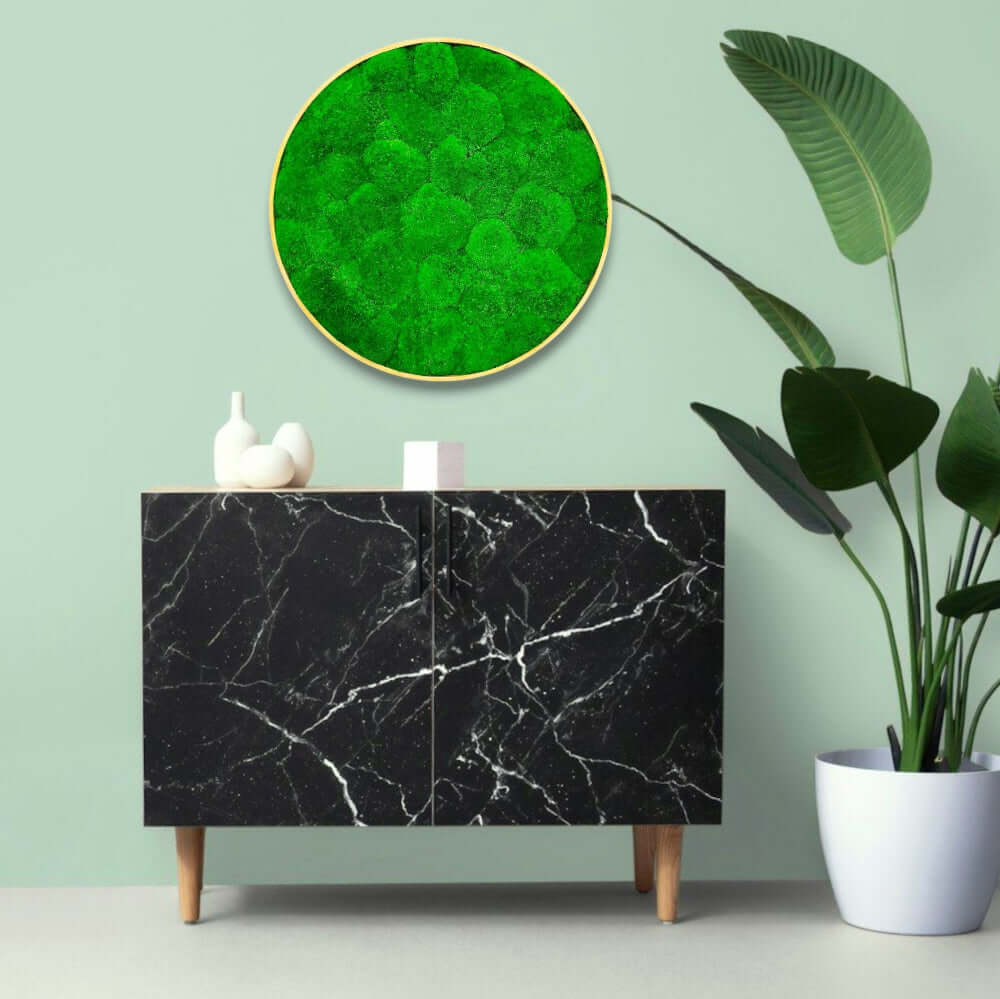 Moosbild rund, Moosbild mit Kugelmoos