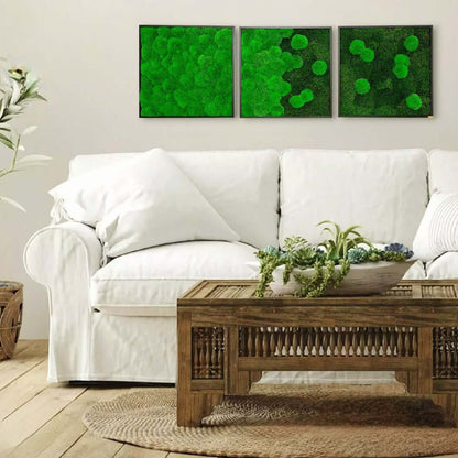 gemütliche Wohnzimmereinrichtung mit einem Moosbild 3er Set, Bilder 3er Set zur modernen Wandgestaltung für Wohnzimmer, Büros, Arztpraxen von Moser - the green wallart